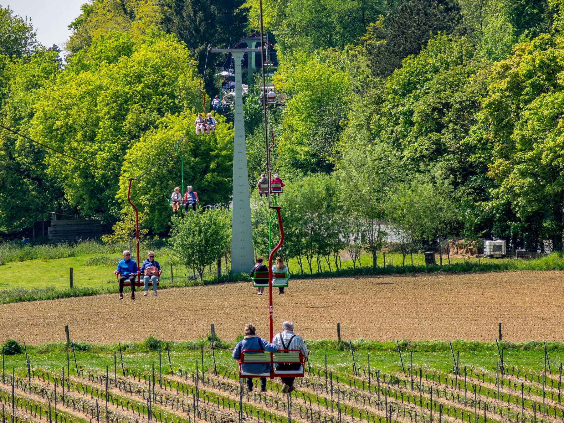 Stoeltjeslift_over_wijnranken_Roonenbergh